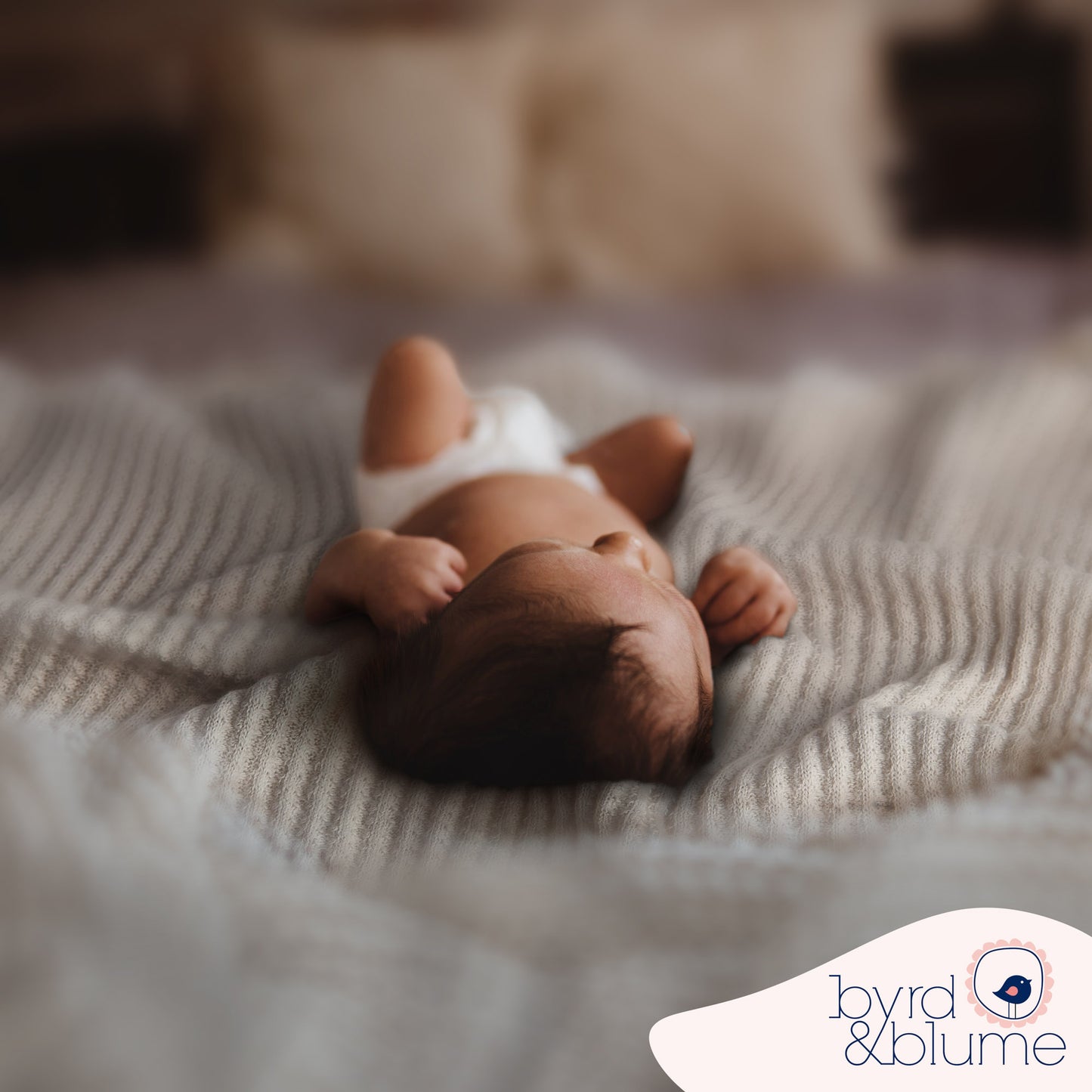 Organic Cotton Blanket