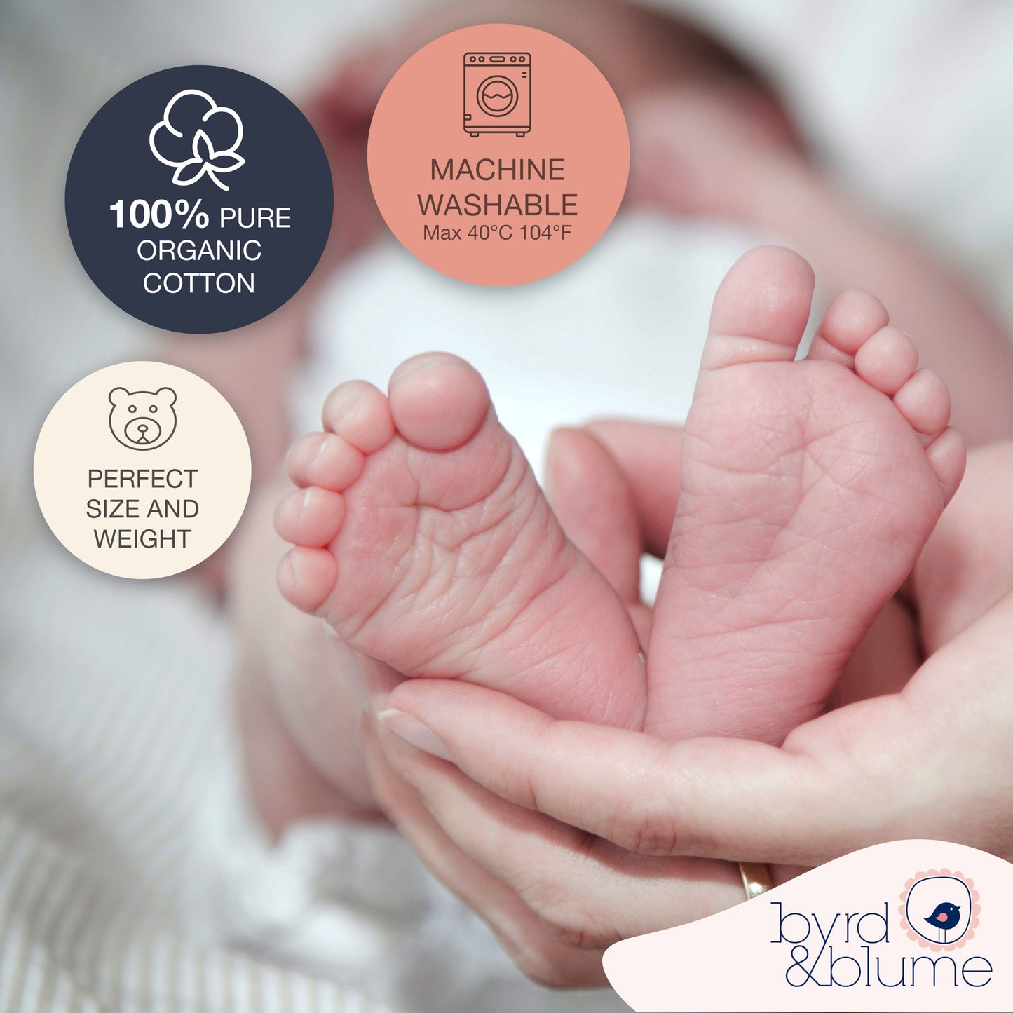 Organic Cotton Blanket